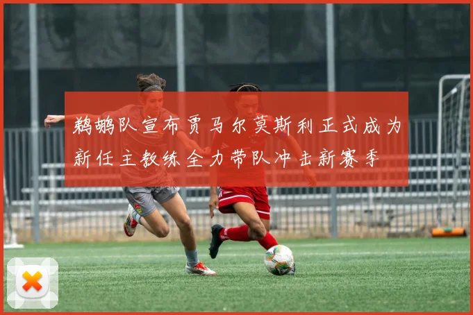 鹈鹕队宣布贾马尔莫斯利正式成为新任主教练全力带队冲击新赛季