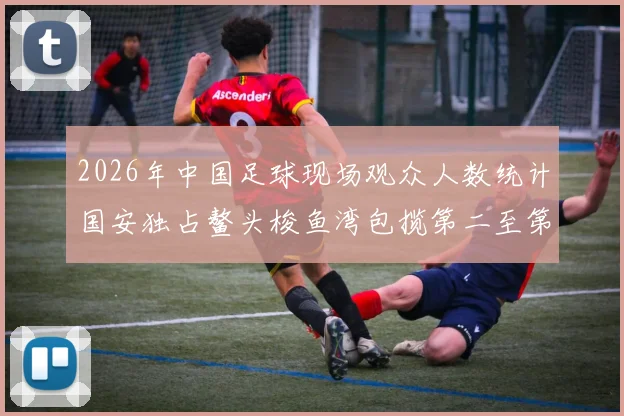 2026年中国足球现场观众人数统计国安独占鳌头梭鱼湾包揽第二至第七位