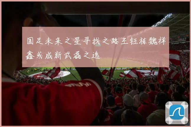 国足未来之星寻找之路王钰栋魏祥鑫或成新武磊之选